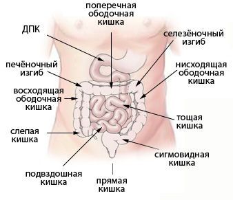 рак различных отделов кишечника