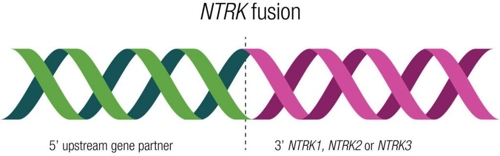 NTRK мутации таргетная терапия в спб